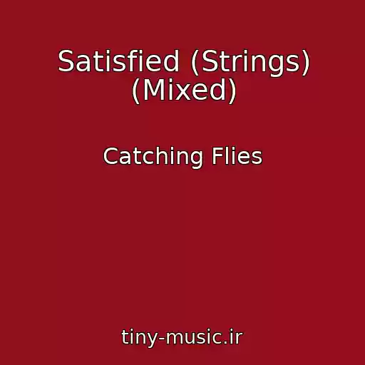 کاور آهنگ Satisfied (Strings) (Mixed) از Catching Flies