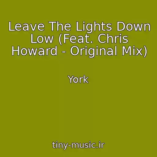 کاور آهنگ Leave The Lights Down Low (Feat. Chris Howard - Original Mix) از York