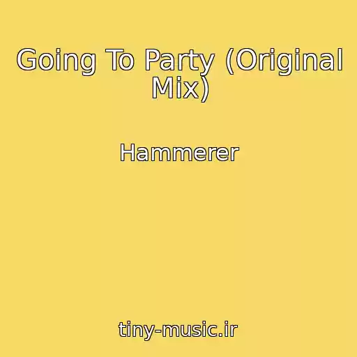کاور آهنگ Going To Party (Original Mix) از Hammerer