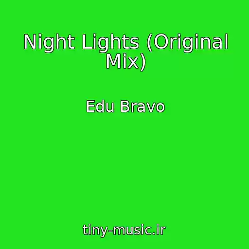 کاور آهنگ Night Lights (Original Mix) از Edu Bravo