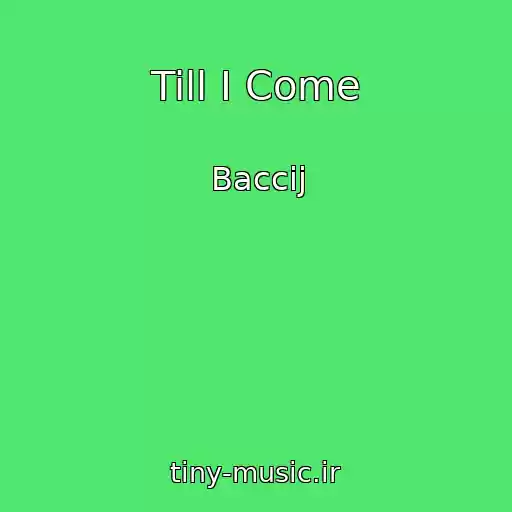 کاور آهنگ Till I Come از Baccij