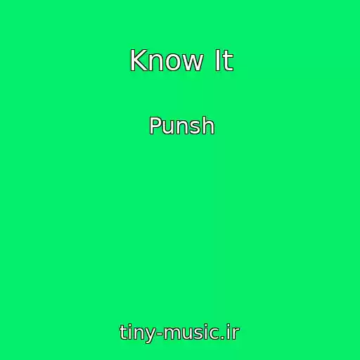 کاور آهنگ Know It از Punsh