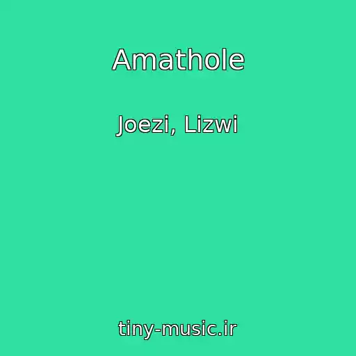 کاور آهنگ Amathole از Joezi, Lizwi