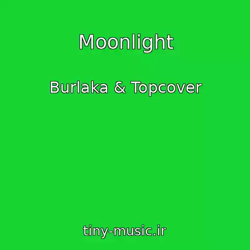 کاور آهنگ Moonlight از Burlaka & Topcover