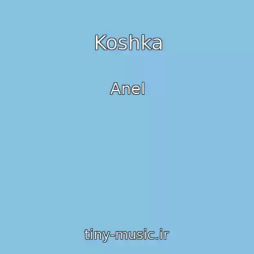کاور آهنگ Koshka از Anel