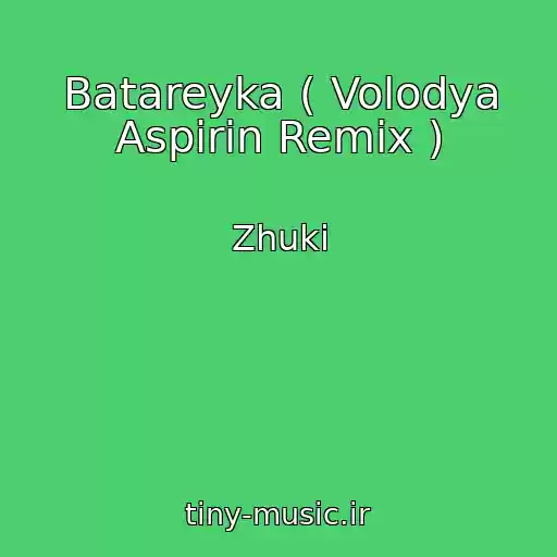 کاور آهنگ Batareyka ( Volodya Aspirin Remix ) از Zhuki