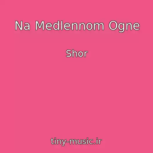 کاور آهنگ Na Medlennom Ogne از Shor