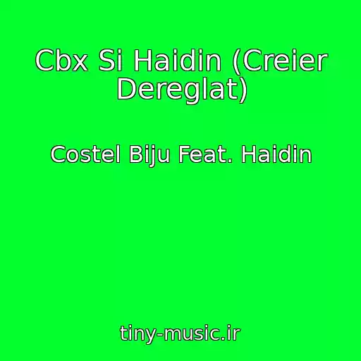 کاور آهنگ Cbx Si Haidin (Creier Dereglat) از Costel Biju Feat. Haidin