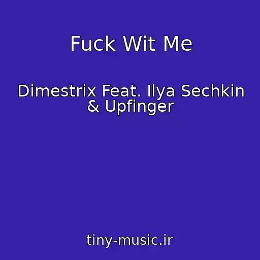 کاور آهنگ Fuck Wit Me از Dimestrix Feat. Ilya Sechkin & Upfinger