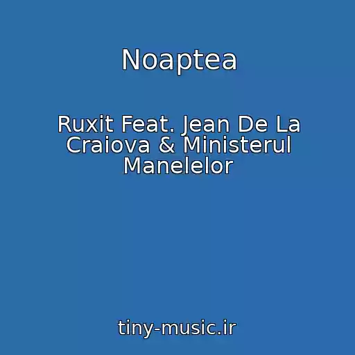 کاور آهنگ Noaptea از Ruxit Feat. Jean De La Craiova & Ministerul Manelelor