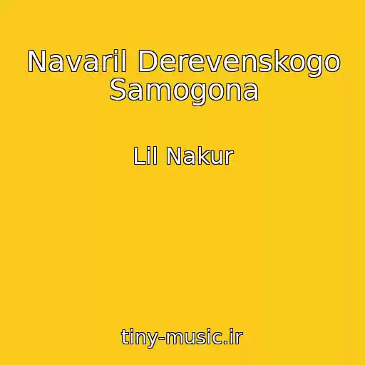 کاور آهنگ Navaril Derevenskogo Samogona از Lil Nakur