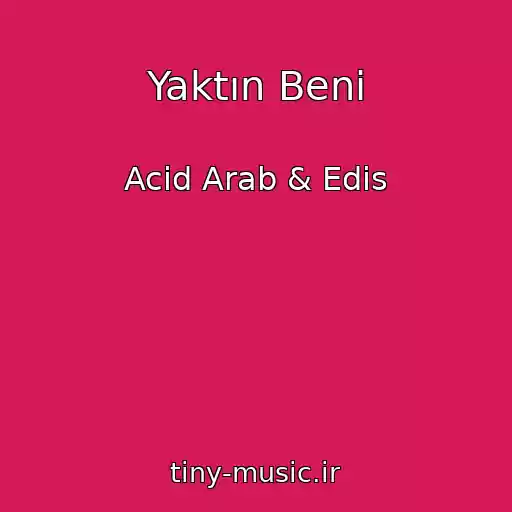 کاور آهنگ Yaktın Beni از Acid Arab & Edis