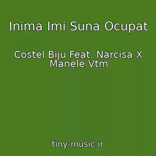 کاور آهنگ Inima Imi Suna Ocupat از Costel Biju Feat. Narcisa X Manele Vtm