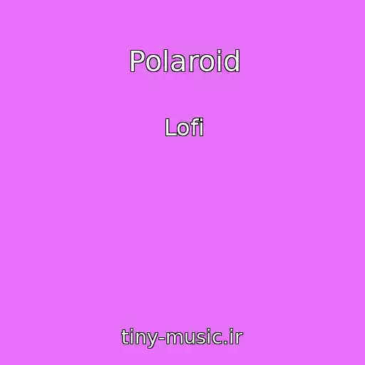 کاور آهنگ Polaroid از Lofi