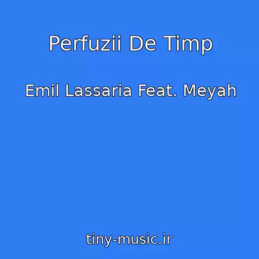 کاور آهنگ Perfuzii De Timp از Emil Lassaria Feat. Meyah