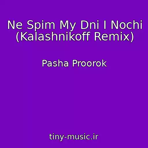 کاور آهنگ Ne Spim My Dni I Nochi (Kalashnikoff Remix) از Pasha Proorok