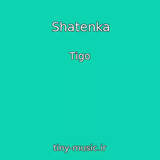 کاور آهنگ Shatenka از Tigo