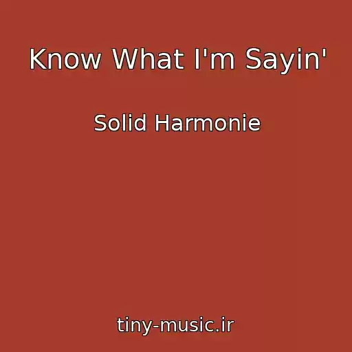 کاور آهنگ Know What I'm Sayin' از Solid Harmonie
