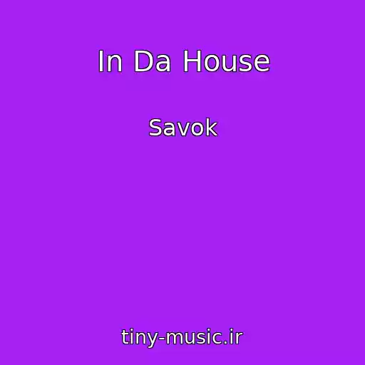 کاور آهنگ In Da House از Savok