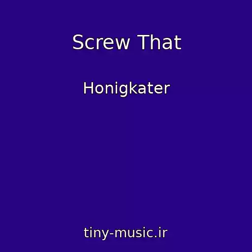 کاور آهنگ Screw That از Honigkater