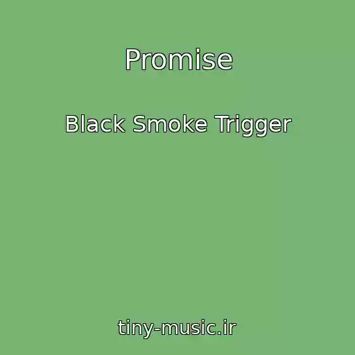 کاور آهنگ Promise از Black Smoke Trigger