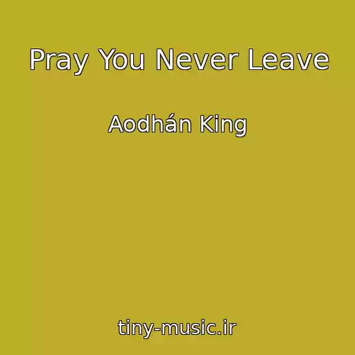 کاور آهنگ Pray You Never Leave از Aodhán King