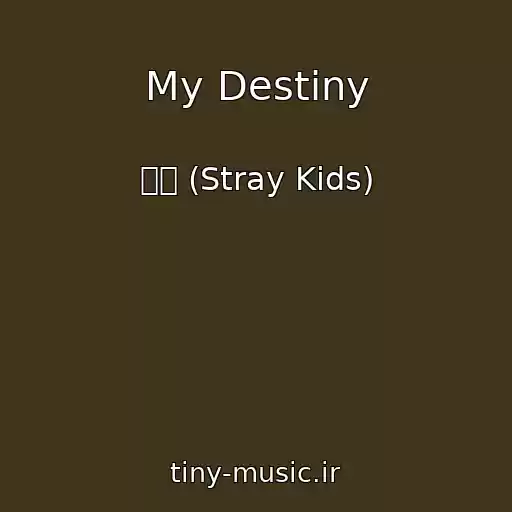 کاور آهنگ My Destiny از 승민 (Stray Kids)