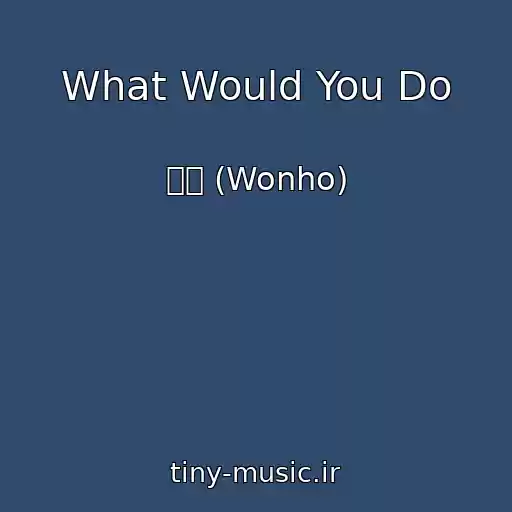 کاور آهنگ What Would You Do از 원호 (Wonho)