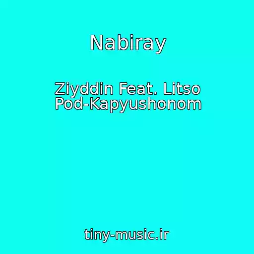 کاور آهنگ Nabiray از Ziyddin Feat. Litso Pod-Kapyushonom