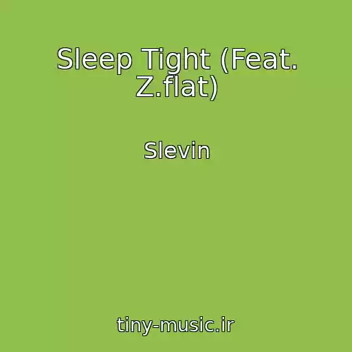 کاور آهنگ Sleep Tight (Feat. Z.flat) از Slevin