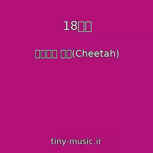کاور آهنگ 18번뇌 از 뉴진스님 치타(Cheetah)