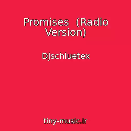 کاور آهنگ Promises  (Radio Version) از Djschluetex