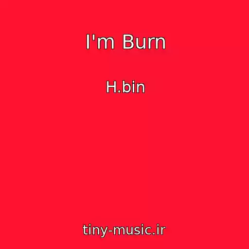 کاور آهنگ I'm Burn از H.bin