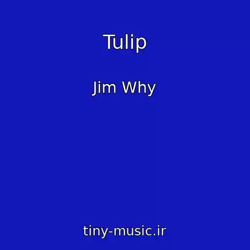 کاور آهنگ Tulip از Jim Why