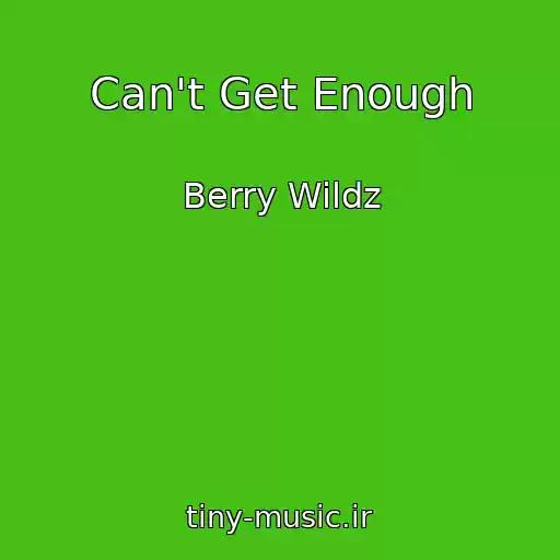 کاور آهنگ Can't Get Enough از Berry Wildz