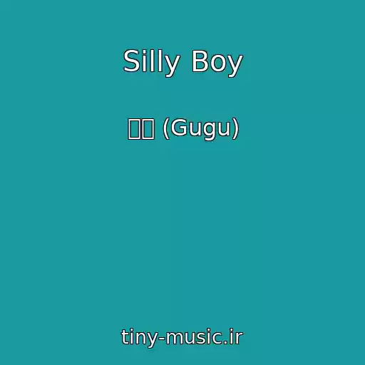 کاور آهنگ Silly Boy از 구구 (Gugu)