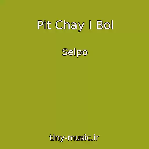 کاور آهنگ Pit Chay I Bol از Selpo
