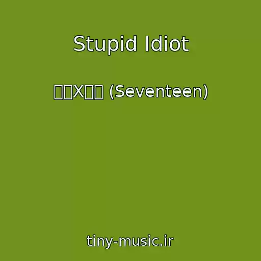 کاور آهنگ Stupid Idiot از 호시X우지 (Seventeen)
