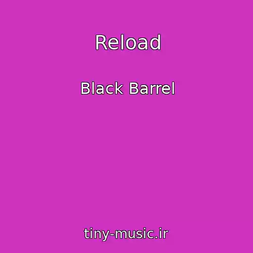 کاور آهنگ Reload از Black Barrel