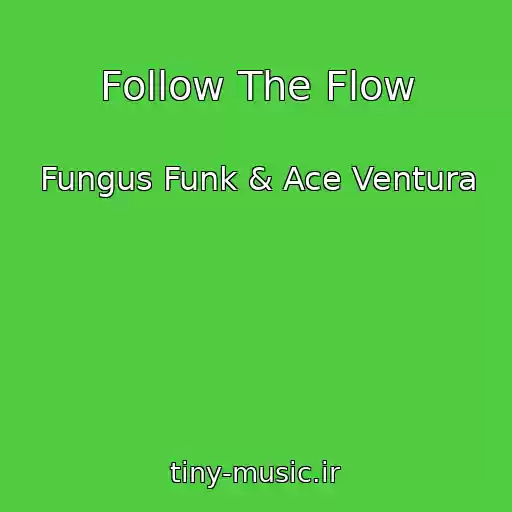 کاور آهنگ Follow The Flow از Fungus Funk & Ace Ventura