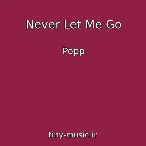 کاور آهنگ Never Let Me Go از Popp