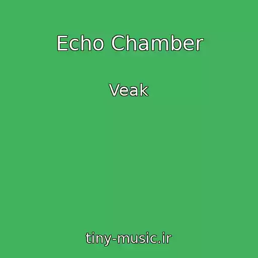 کاور آهنگ Echo Chamber از Veak