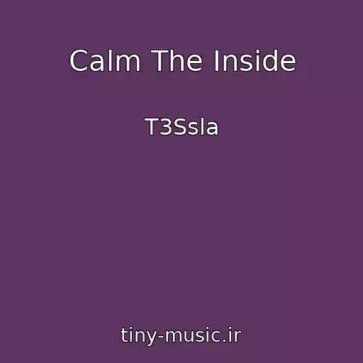 کاور آهنگ Calm The Inside از T3Ssla