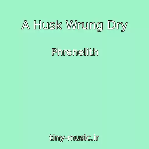 کاور آهنگ A Husk Wrung Dry از Phrenelith