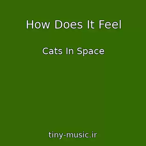کاور آهنگ How Does It Feel از Cats In Space