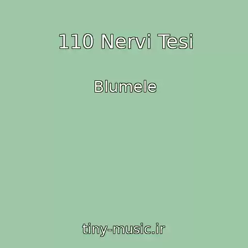 کاور آهنگ 110 Nervi Tesi از Blumele