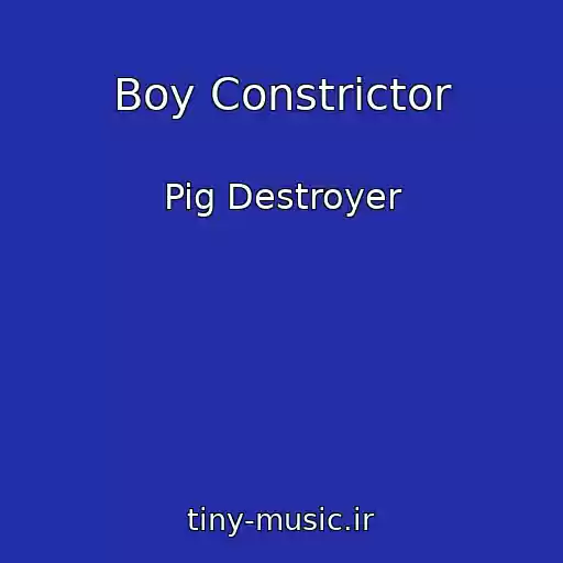 کاور آهنگ Boy Constrictor از Pig Destroyer