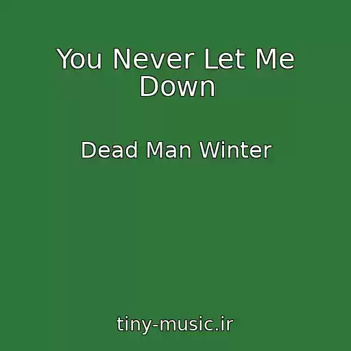کاور آهنگ You Never Let Me Down از Dead Man Winter