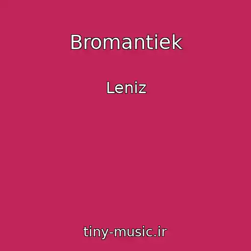 کاور آهنگ Bromantiek از Leniz