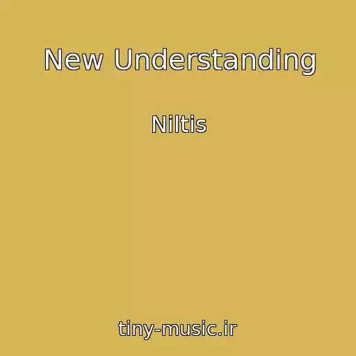 کاور آهنگ New Understanding از Niltis
